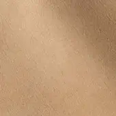 2431411 - CAMMELLO